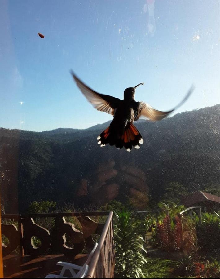 Pacuare Mountain Lodge Tres Equis Esterno foto